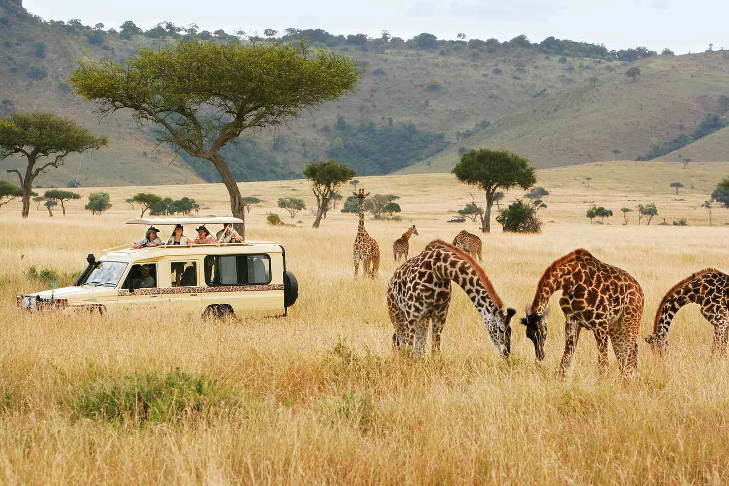 13-Day Uganda and Rwanda Safari Cross-Border Tour